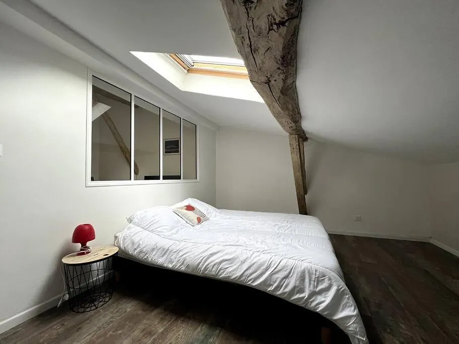 Charmant T3 - Hyper Centre - Musee Ingres Montauban Apartment