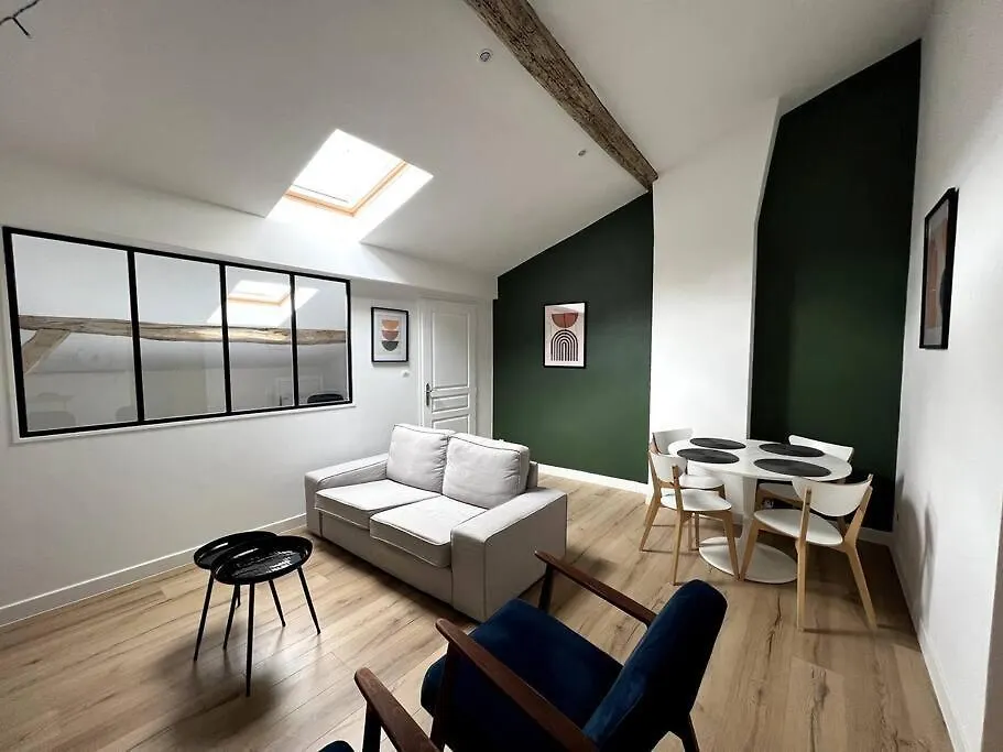 Charmant T3 - Hyper Centre - Musee Ingres Montauban Apartment