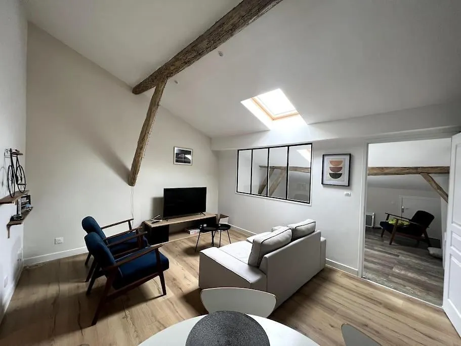 Apartment Charmant T3 - Hyper Centre - Musee Ingres Montauban