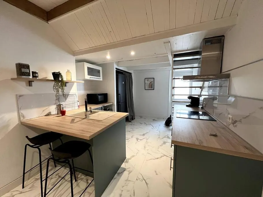 Apartment Charmant T3 - Hyper Centre - Musee Ingres Montauban France